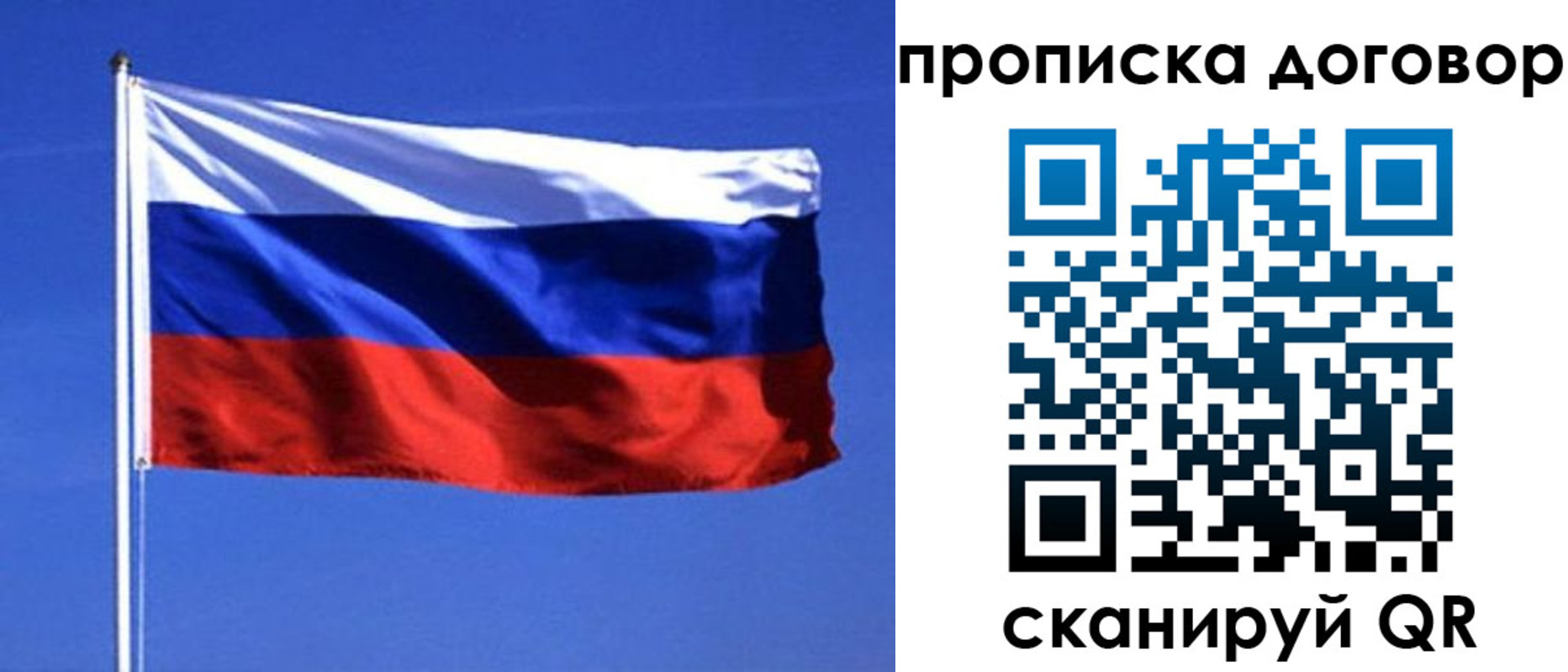 прописка поиск в Киришах